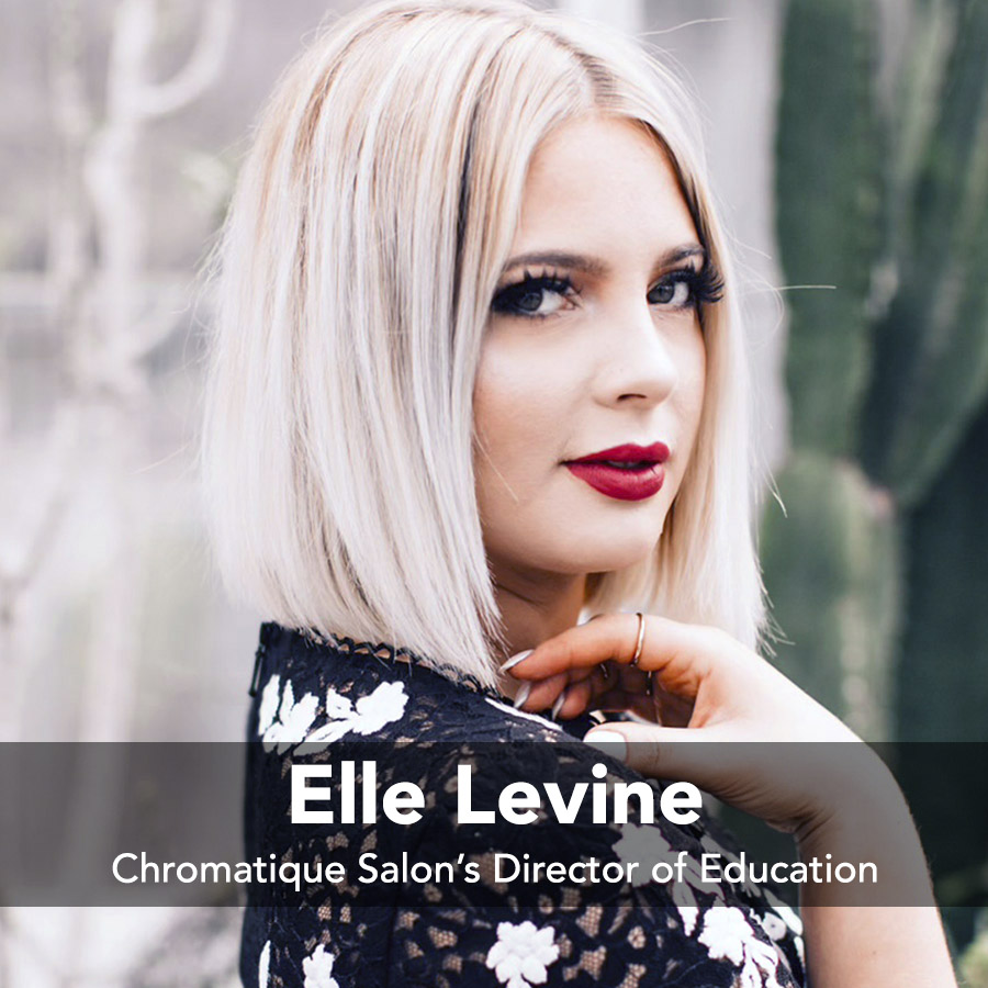 ElleLevine_Presenter copy